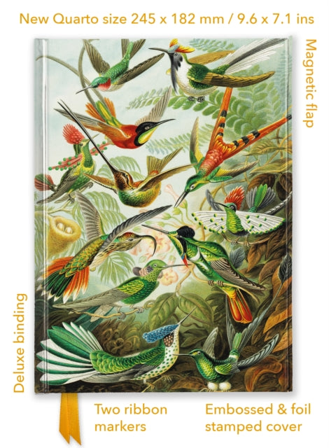 Ernst Haeckel Hummingbirds Foiled Quarto Journal