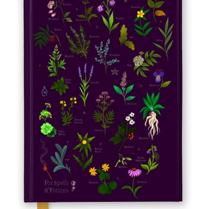 Anna Stead For Spells  Potions Foiled Journal