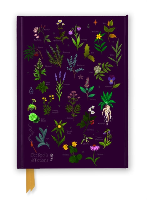 Anna Stead For Spells  Potions Foiled Journal
