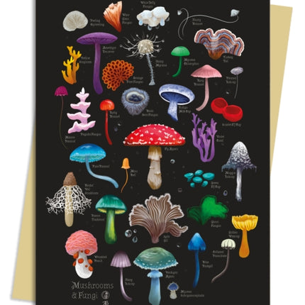Anna Stead Mushrooms  Fungi Greeting Card Pack