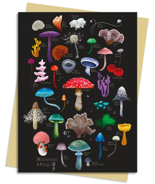 Anna Stead Mushrooms  Fungi Greeting Card Pack