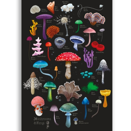 Anna Stead Mushrooms  Fungi Soft Touch Journal