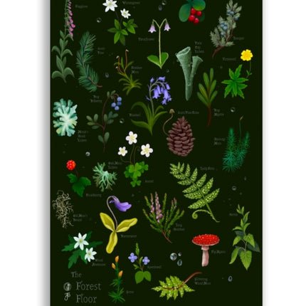 Anna Stead The Forest Floor Soft Touch Journal