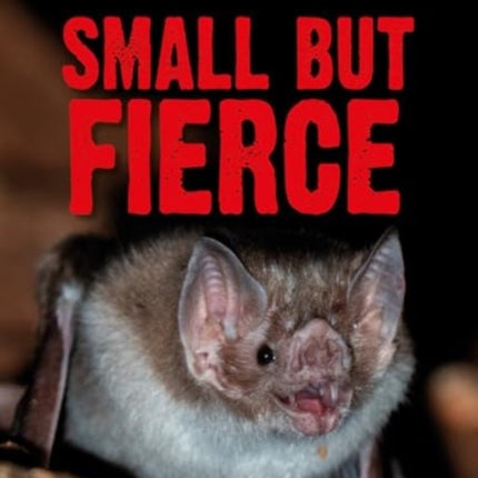 Ultimate Predators Small but Fierce