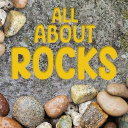 Earths Detectives All About Rocks