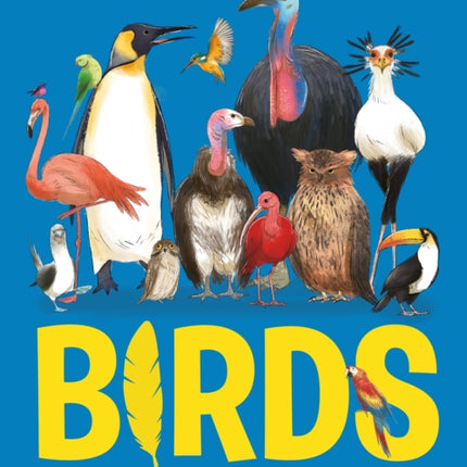 Birds