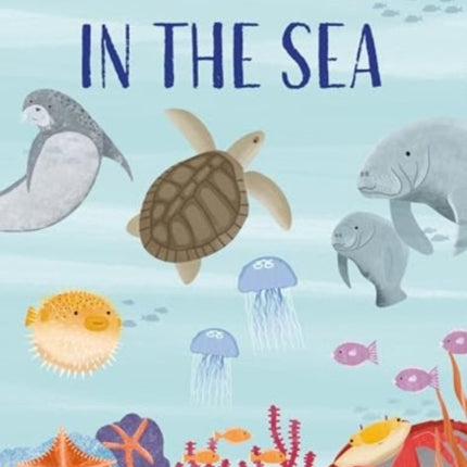 In the Oceans and Seas