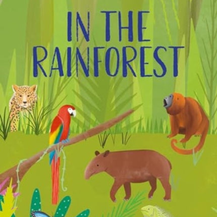 Natures Habitats In The Rainforest