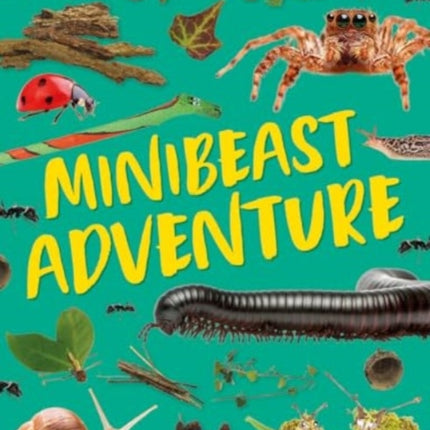 Minibeast Adventure