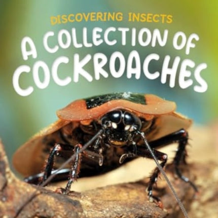 Discovering Insects A Collection of Cockroaches