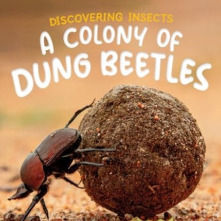 Discovering Insects A Colony of Dung Beetles