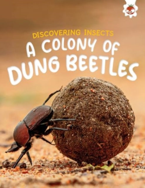 Discovering Insects A Colony of Dung Beetles