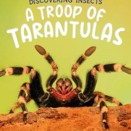 Discovering Insects A Troop of Tarantulas