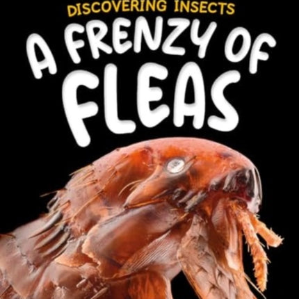 Discovering Insects A Frenzy of Fleas