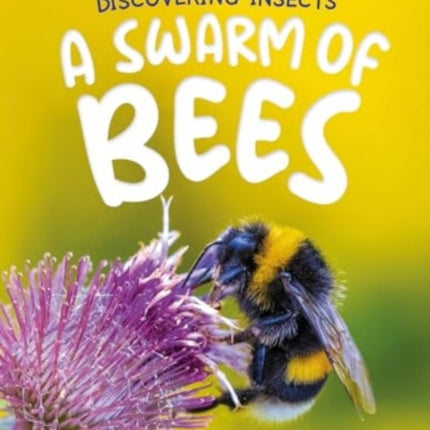 Discovering Insects A Swarm of Bees