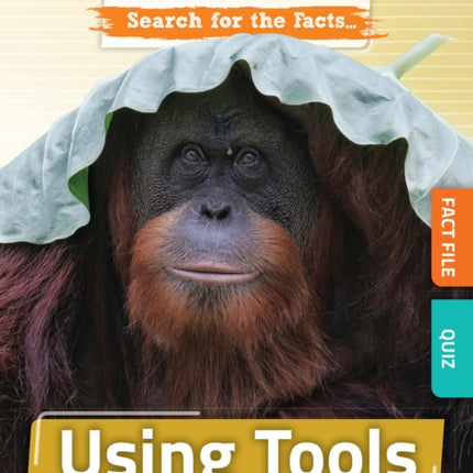 Using Tools