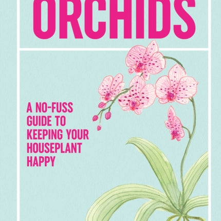 Orchids How to Keep This Alive