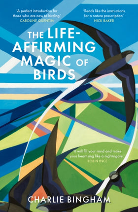 The LifeAffirming Magic of Birds