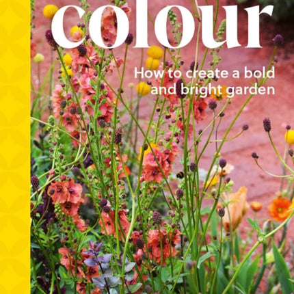 A Year of Colour