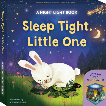 Sleep Tight Little One A Night Light Book