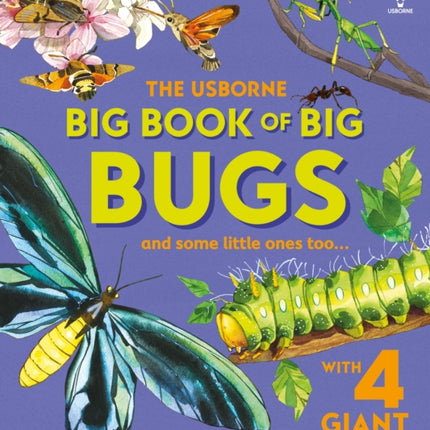 Big Book of Big Bugs