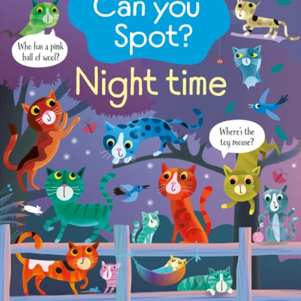 Can you Spot Night time
