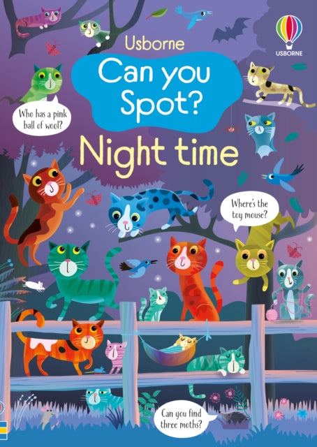 Can you Spot Night time
