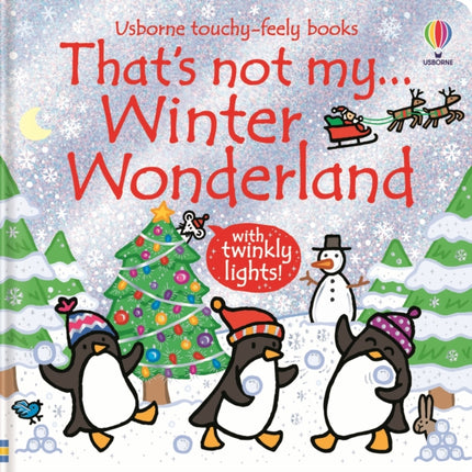 Thats not my... Winter Wonderland