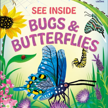 See Inside Bugs and Butterflies