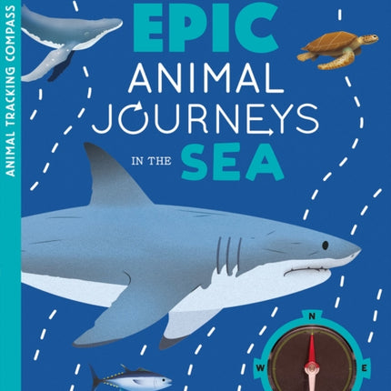 Epic Animal Journeys in the Sea