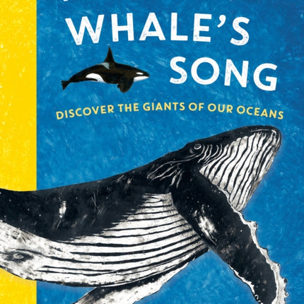 The Whales Song