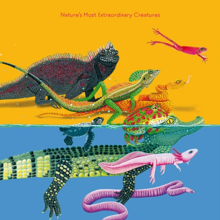 Reptiles and Amphibians