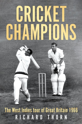 Cricket Champions