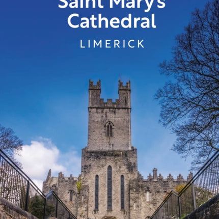 Saint Marys Cathedral Limerick