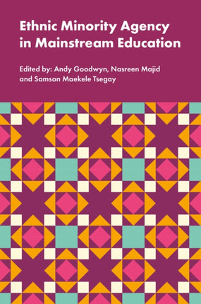 Ethnic Minority Agency in Mainstream Education  A Regional Perspective on a National Challenge