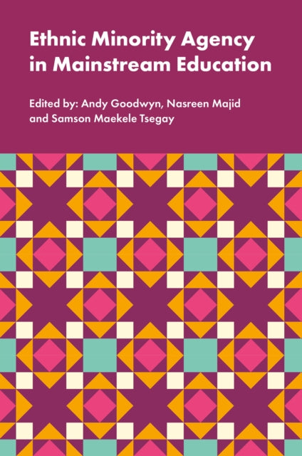 Ethnic Minority Agency in Mainstream Education  A Regional Perspective on a National Challenge