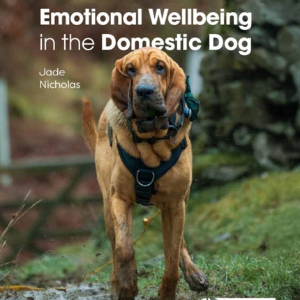 Emotional Wellbeing in the Domestic Dog