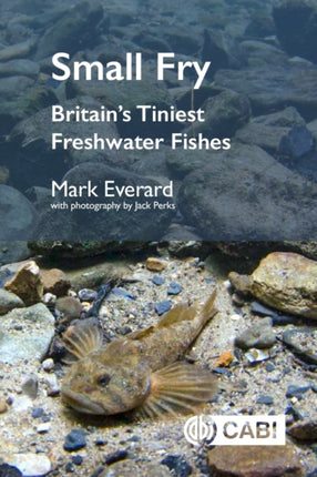 Small Fry  Britains Tiniest Freshwater Fish