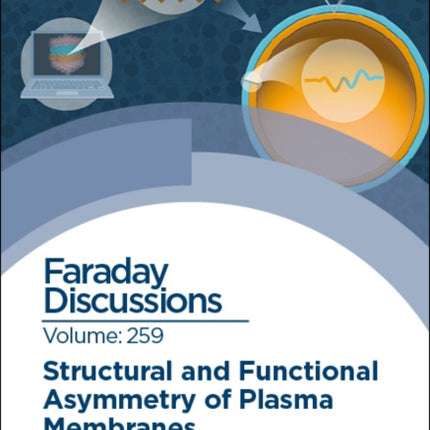 Structural and Functional Asymmetry of Plasma Membranes