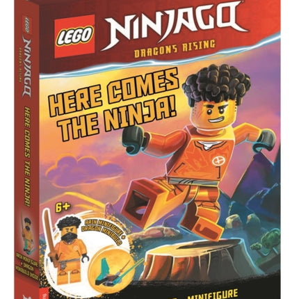 LEGO NINJAGO Here Comes the Ninja with Arin minifigure and dragon minibuild