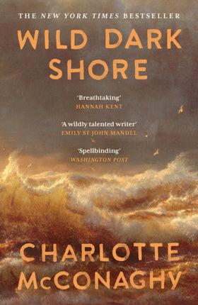 Wild Dark Shore