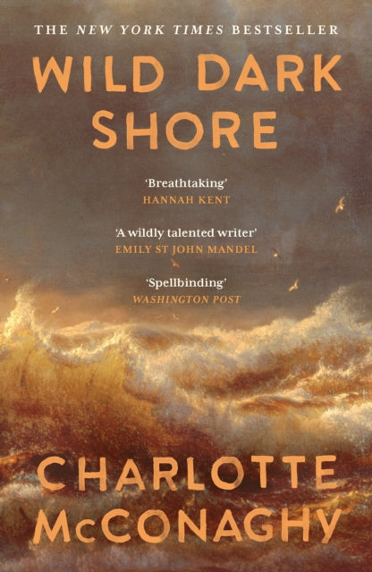 Wild Dark Shore