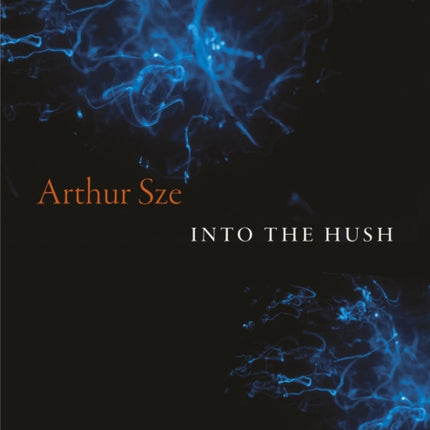 Into the Hush