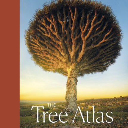 Lonely Planet The Tree Atlas