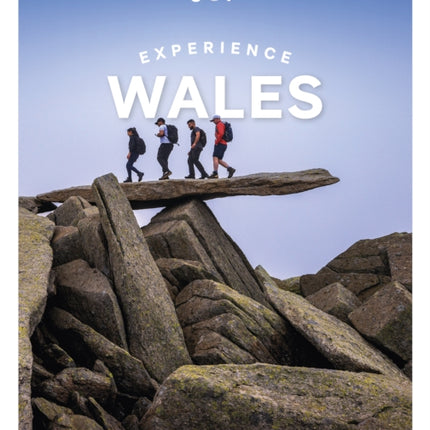 Lonely Planet Experience Wales