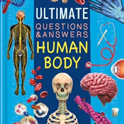 Ultimate Questions & Answers: Human Body