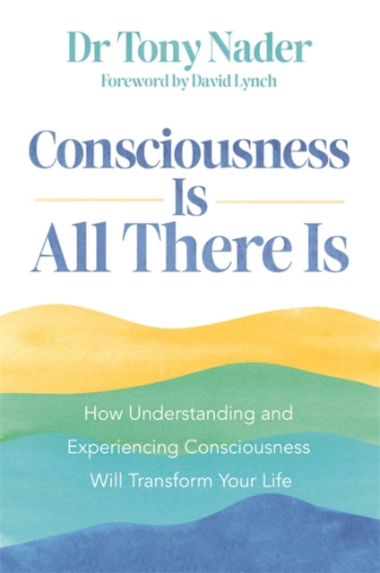 Consciousness Is All There Is