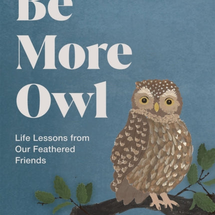 Be More Owl