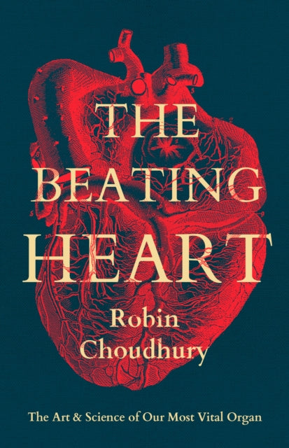 The Beating Heart