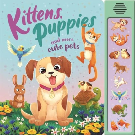 Kittens Puppies and More Cute Pets